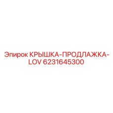 6231645300 Крышка-прокладка LOV Эпирок