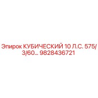 9828436721 КУБИЧЕСКИЙ 10 Л.С. 575/3/60… Epiroc
