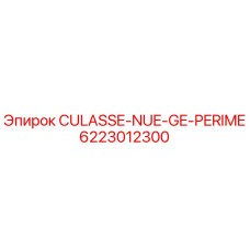 Оригинальная деталь CULASSE-NUE-GE-PERIME 6223012300 для буровых установок Epiroc