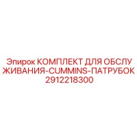 2912218300 КОМПЛЕКТ ДЛЯ ОБСЛУЖИВАНИЯ-CUMMINS-ПАТРУБОК Epiroc