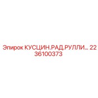 2236100373 КУСЦИН.РАД.РУЛЛИ… Epiroc