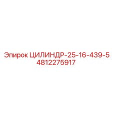 4812275917 ЦИЛИНДР-25-16-439-5 Epiroc