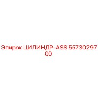 5573029700 ЦИЛИНДР-ASS Epiroc