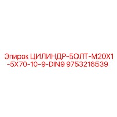 9753216539 ЦИЛИНДР-БОЛТ-M20X1-5X70-10-9-DIN9 Epiroc