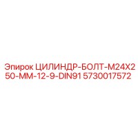 5730017572 ЦИЛИНДР-БОЛТ-M24X250-MM-12-9-DIN91 Epiroc