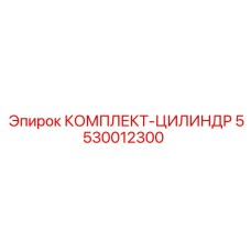 5530012300 КОМПЛЕКТ-ЦИЛИНДР Epiroc