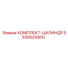 5530025900 КОМПЛЕКТ-ЦИЛИНДР Epiroc