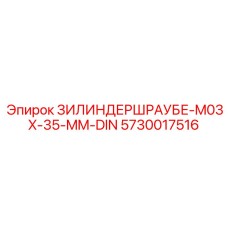 5730017516 ЗИЛИНДЕРШРАУБЕ-M03X-35-MM-DIN Epiroc