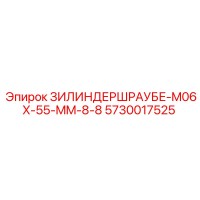 5730017525 ЗИЛИНДЕРШРАУБЕ-M06X-55-MM-8-8 Epiroc