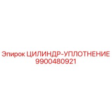 9900480921 ЦИЛИНДР-УПЛОТНЕНИЕ (Epiroc)