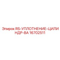 16702511 RS-УПЛОТНЕНИЕ-ЦИЛИНДР-BA Epiroc