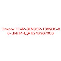 6246367000 TEMP-SENSOR-TS9900-00-ЦИЛИНДР Epiroc