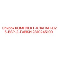2810245100 КОМПЛЕКТ-КЛАПАН-D25-BSP-2-ГАЙКИ Epiroc