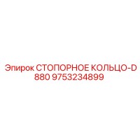 9753234899 СТОПОРНОЕ КОЛЬЦО-D880 Epiroc