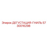 5730016298 ДЕГУСТАЦИЯ-ГНИЛЬ Epiroc