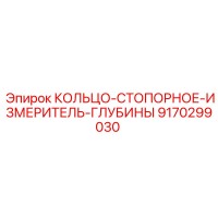 9170299030 КОЛЬЦО-СТОПОРНОЕ-ИЗМЕРИТЕЛЬ-ГЛУБИНЫ | Epiroc