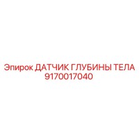 9170017040 ДАТЧИК ГЛУБИНЫ ТЕЛА Epiroc