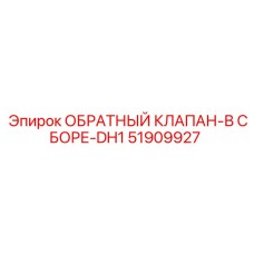 51909927 ОБРАТНЫЙ КЛАПАН-В СБОРЕ-DH1 Epiroc