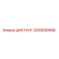 2200630666 ДИХТУНГ Epiroc