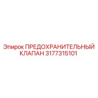 3177315101 ПРЕДОХРАНИТЕЛЬНЫЙ КЛАПАН Epiroc