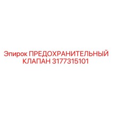 3177315101 ПРЕДОХРАНИТЕЛЬНЫЙ КЛАПАН Epiroc