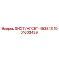 1901603439 ДИХТУНГСЕТ-453843 Epiroc
