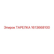 1613668100 ТАРЕЛКА Epiroc
