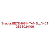 GS63024196 ВЕСЕННИЙ ТАМЕЦ ЛИСТ Epiroc