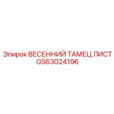 GS63024196 ВЕСЕННИЙ ТАМЕЦ ЛИСТ Epiroc