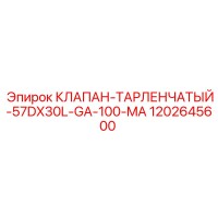 1202645600 КЛАПАН-ТАРЛЕНЧАТЫЙ-57DX30L-GA-100-MA Epiroc