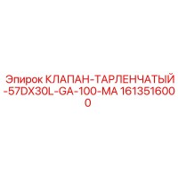 1613516000 КЛАПАН-ТАРЛЕНЧАТЫЙ-57DX30L-GA-100-MA Epiroc