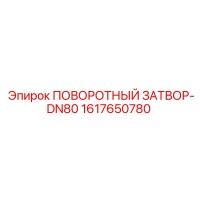 1617650780 Поворотный затвор-DN80 Epiroc