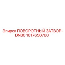 1617650780 Поворотный затвор-DN80 Epiroc
