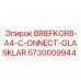 Органайзер BRIEFKORB-A4 Эпирок 5730009944