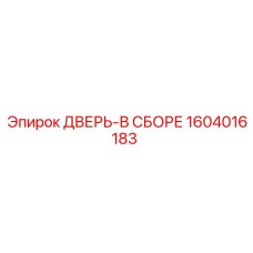 Дверь в сборе 1604016183 с защитой ATEX