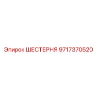 9717370520 ШЕСТЕРНЯ Epiroc