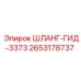 2653178737 ШЛАНГ-ГИД-3373 Epiroc