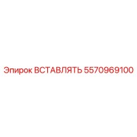 5570969100 ВСТАВЛЯТЬ Эпирок (Epiroc)