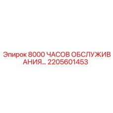 2205601453 8000 ЧАСОВ ОБСЛУЖИВАНИЯ Epiroc