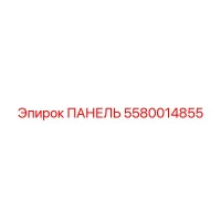 5580014855 ПАНЕЛЬ Эпирок