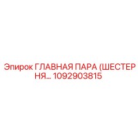 1092903815 ГЛАВНАЯ ПАРА (ШЕСТЕРНЯ…) Epiroc