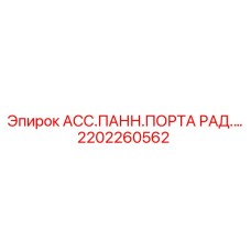 2202260562 АСС.ПАНН.ПОРТА РАД.… Epiroc