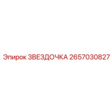 2657030827 ЗВЕЗДОЧКА Epiroc