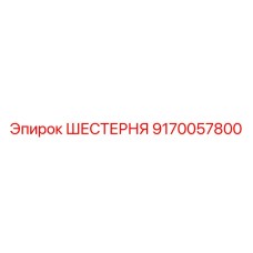 9170057800 ШЕСТЕРНЯ Epiroc
