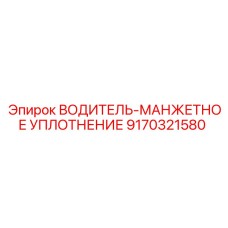 9170321580 ВОДИТЕЛЬ-МАНЖЕТНОЕ УПЛОТНЕНИЕ Эпирок