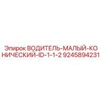 9245894231 ВОДИТЕЛЬ-МАЛЫЙ-КОНИЧЕСКИЙ-ID-1-1-2 Epiroc