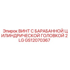 GS12070367 ВИНТ С БАРАБАННОЙ ЦИЛИНДРИЧЕСКОЙ ГОЛОВКОЙ 2 LG Epiroc