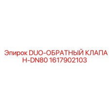 1617902103 DUO-ОБРАТНЫЙ КЛАПАН-DN80 Epiroc