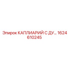 1624610245 КАПИЛЛЯР С ДУ Epiroc