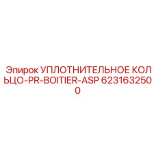 6231632500 УПЛОТНИТЕЛЬНОЕ КОЛЬЦО-PR-BOITIER-ASP Epiroc